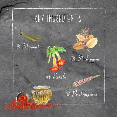 Timeless Beauty Secrets Indus Valley Organic Kumkumadi Beauty Oil  Grab2Buy Timeless Beauty Secrets Grab2Buy