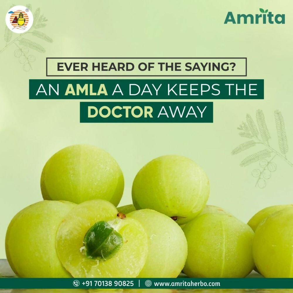 Amrita Nisa Amalaki Tablets 