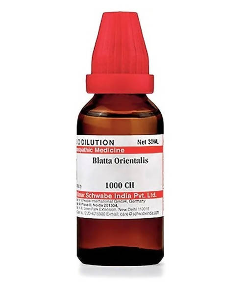 Dr. Willmar Schwabe India Blatta Orientalis Dilution 