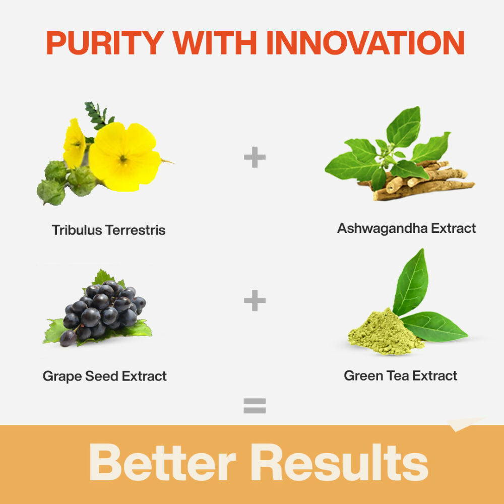 4375bf4MYFIT00000035_5