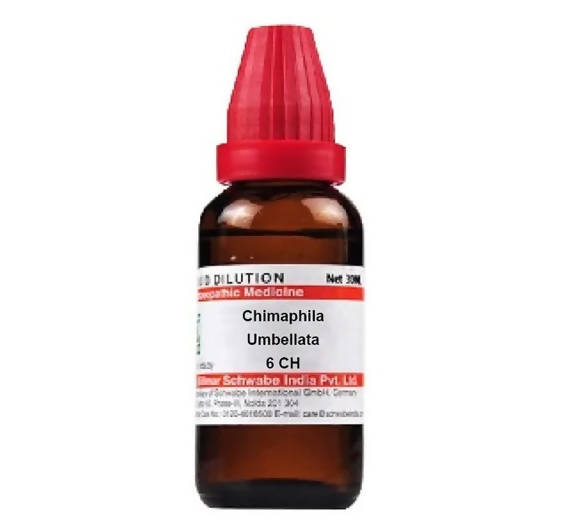 Dr. Willmar Schwabe India Chimaphila Umbellata Dilution 