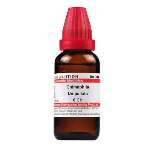 Dr. Willmar Schwabe India Chimaphila Umbellata Dilution 