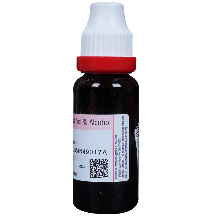 Dr. Reckeweg Gymnema Syl Mother Tincture Q 