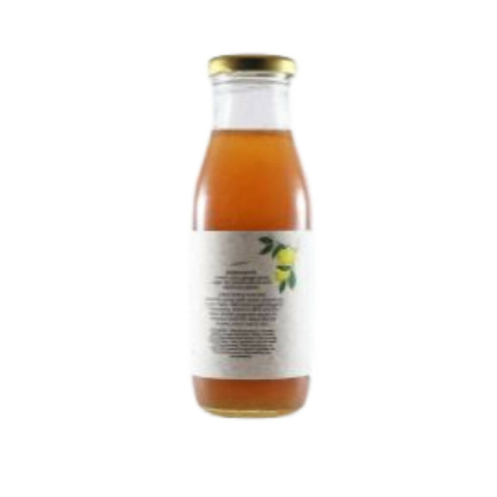 Native Circle Lemon Ginger Syrup - Distacart