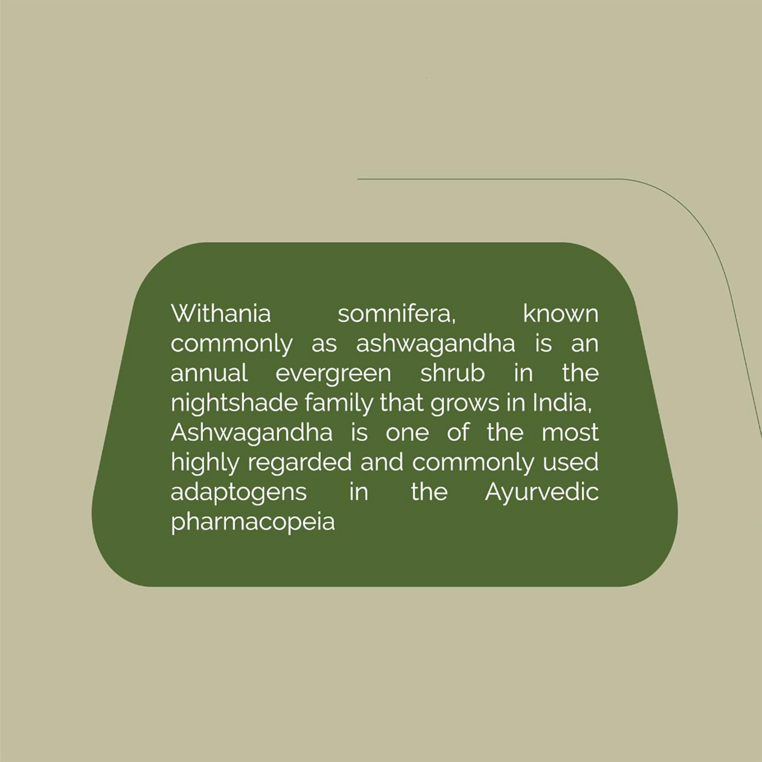 Rajah Ayurveda Ashwagandha Tablets 