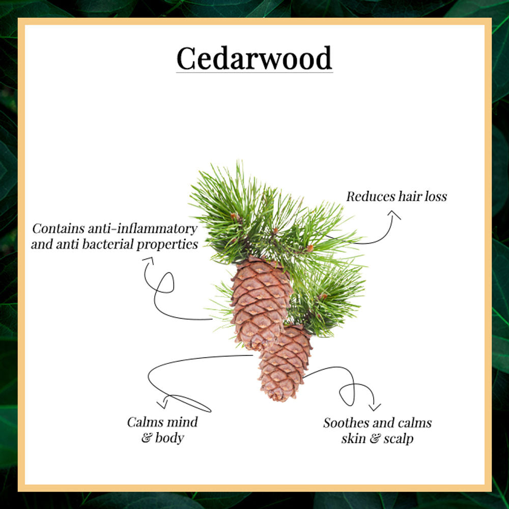 Good Vibes 100% Pure Cedarwood Essential Oil