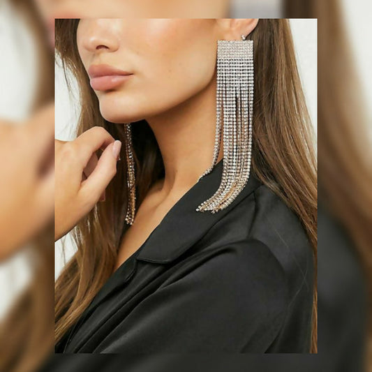 Silver Zircoin Long Danglers In Sparkling White Earrings. By House of Ree