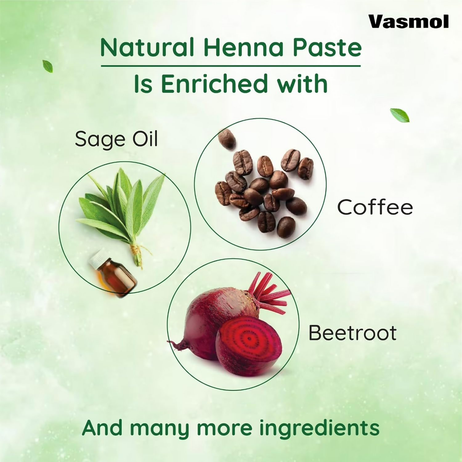 Vasmol Natural Henna Paste Ready To Use  Grab2Buy Vasmol Grab2Buy