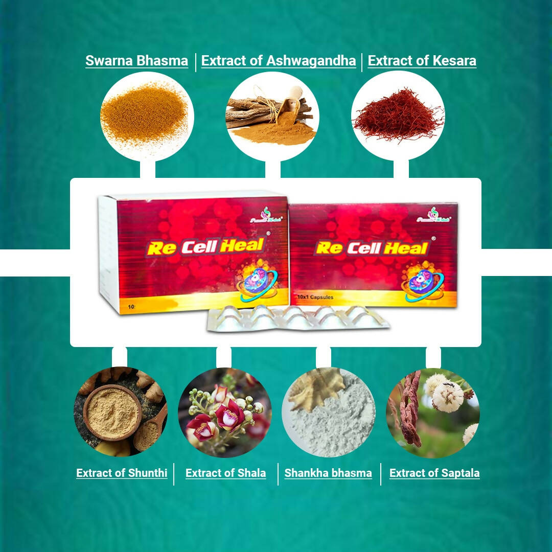 KBK Herbals Re Cell Heal Capsules - Grab2buy