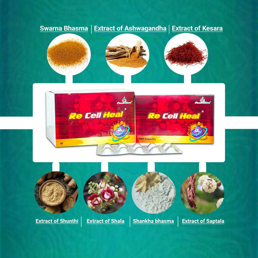 KBK Herbals Re Cell Heal Capsules - Grab2buy