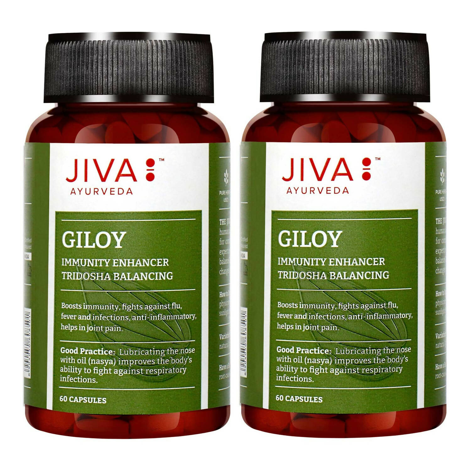 Jiva Ayurveda Giloy Capsules - Grab2buy