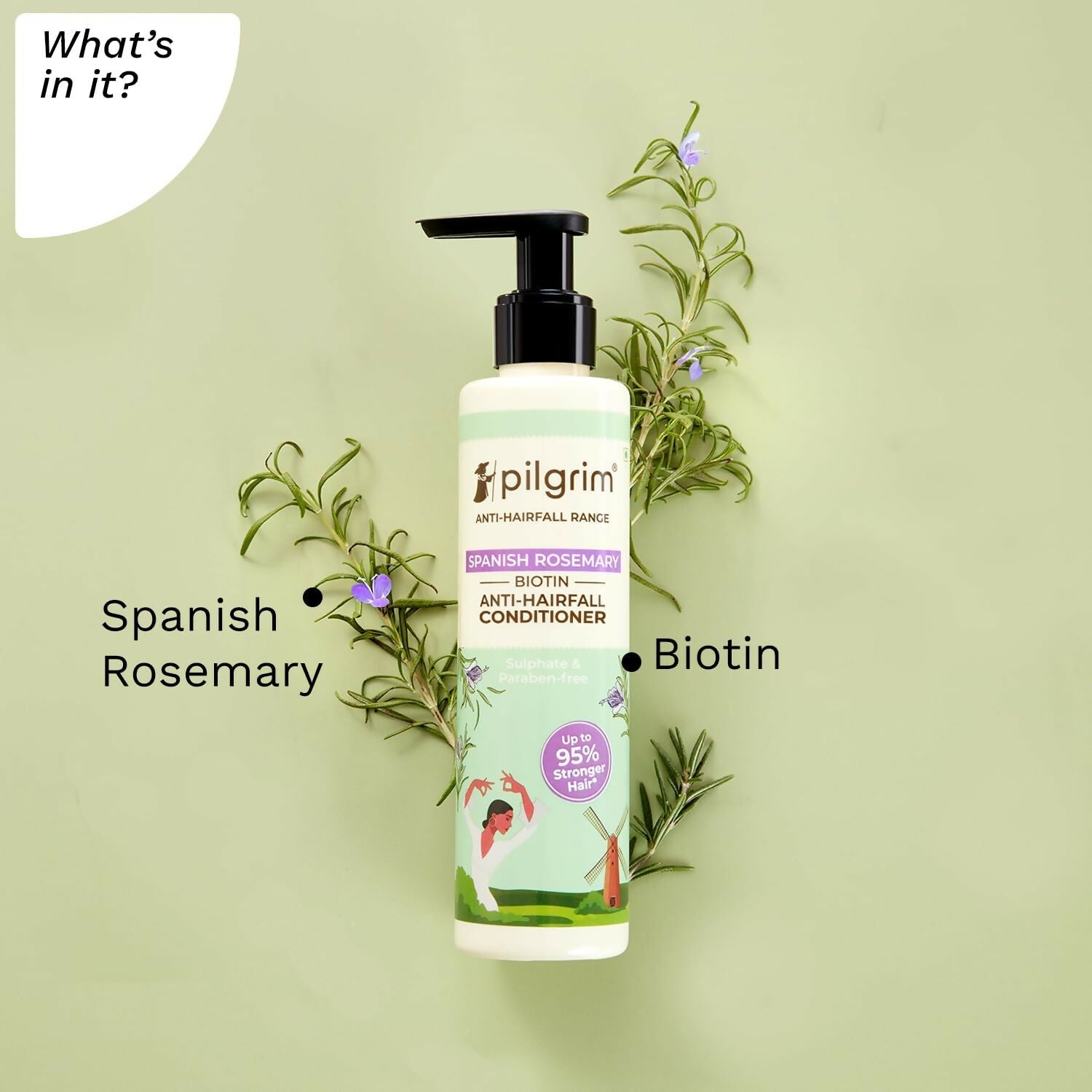 Pilgrim Spanish Rosemary & Biotin Anti Hairfall Conditioner For Reducing Hair Loss & Breakage - Swadesiicart