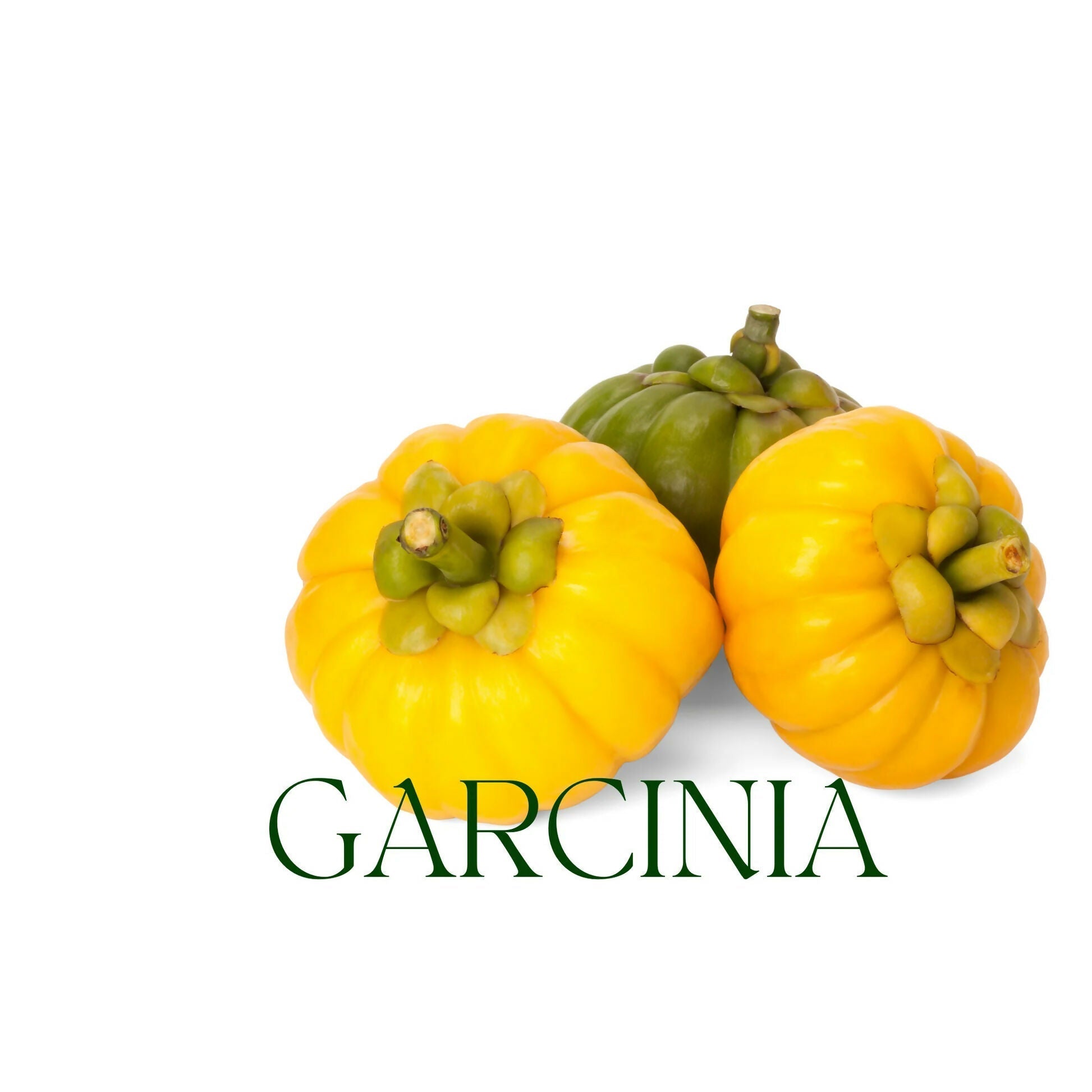 Oilcure Garcinia Cambogia Powder 