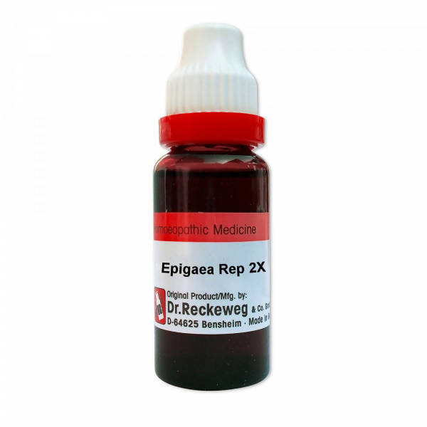 Dr. Reckeweg Epigaea Rep Mother Tincture Q 