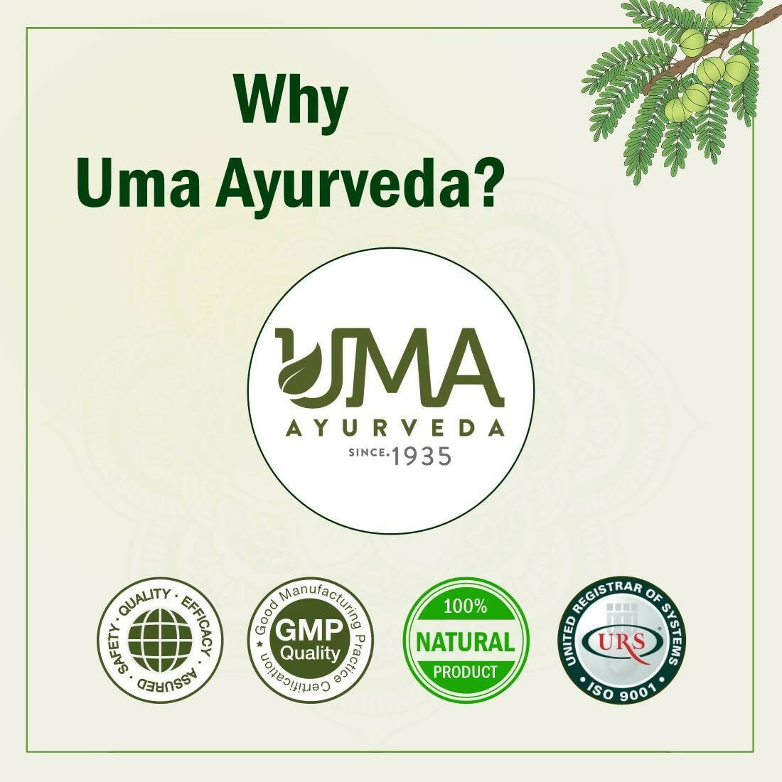 Uma Ayurveda Umadizest Gastric Medicine Ayurvedic Tablets 