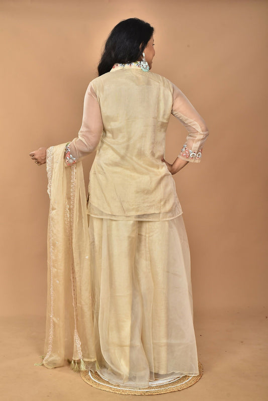 Morchari Women And Hand Embroidery Palazzo Set-Beige 
