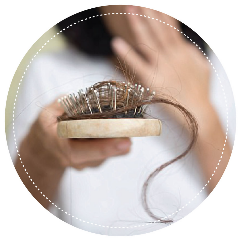 Vegetal Hair Well For Hair Fall Control  Grab2Buy Vegetal Grab2Buy