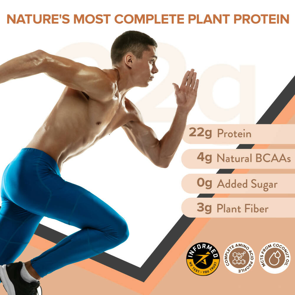 Wellbeing Nutrition Superfood Plant Protein-Dark Chocolate Hazelnut  Grab2Buy Wellbeing Nutrition Grab2Buy