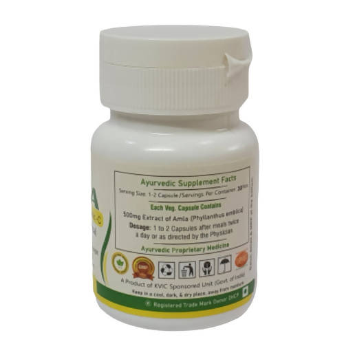 Deep Ayurveda Amla 500mg Veg Capsules - Grab2buy