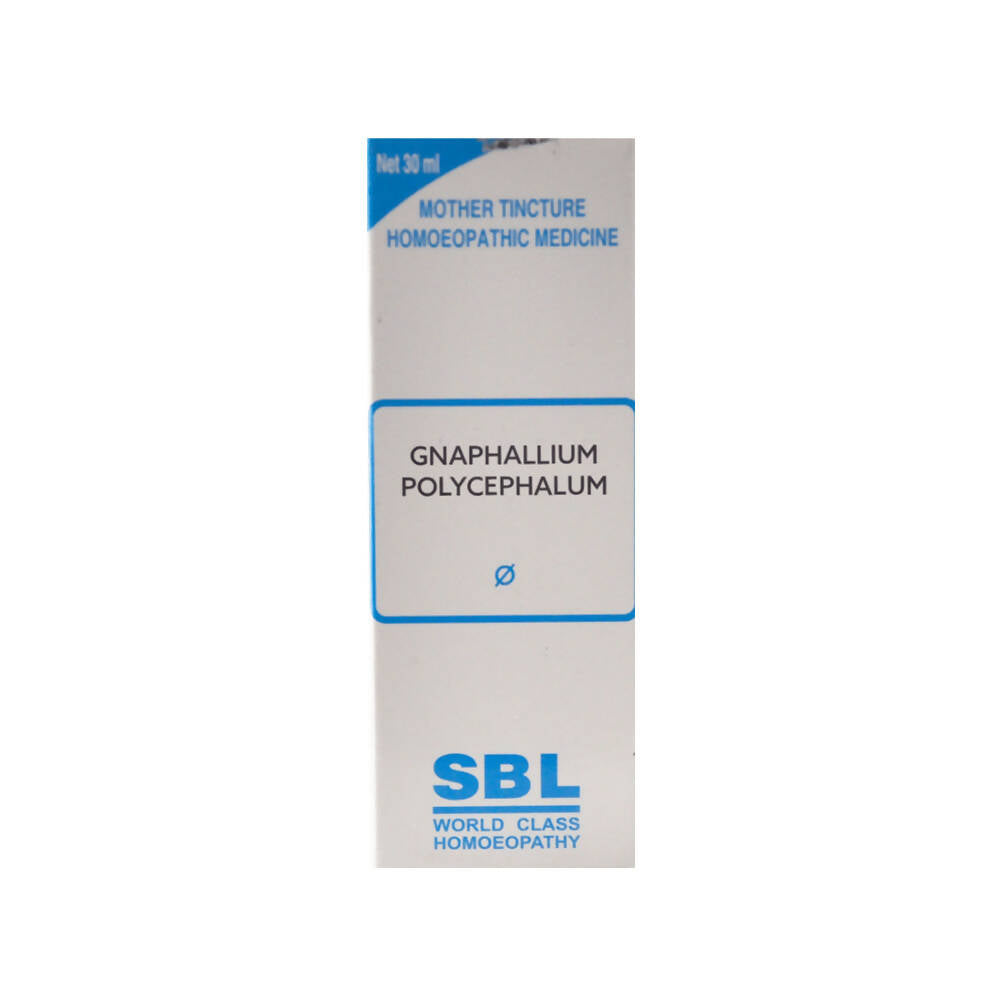 SBL Homeopathy Gnaphalium Polycephalum Mother Tincture Q - Grab2buy