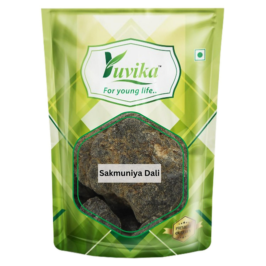 Yuvika Sakmuniya Dali - Saqmoonia Dali - Convolvulus Scammonia 