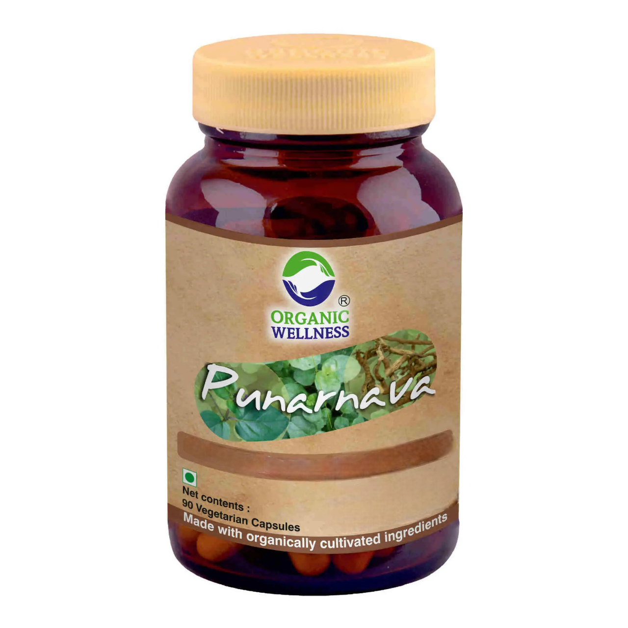 Organic Wellness Punarnava Capsules 