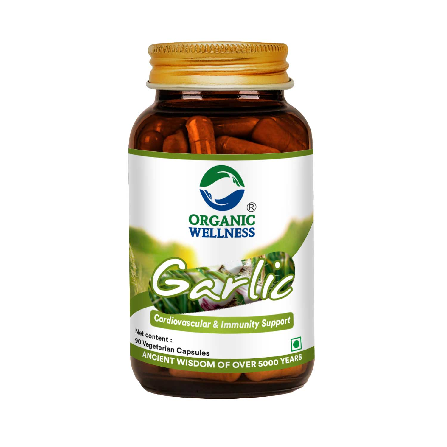 Organic Wellness Garlic Vegetarian Capsules - Grab2buy