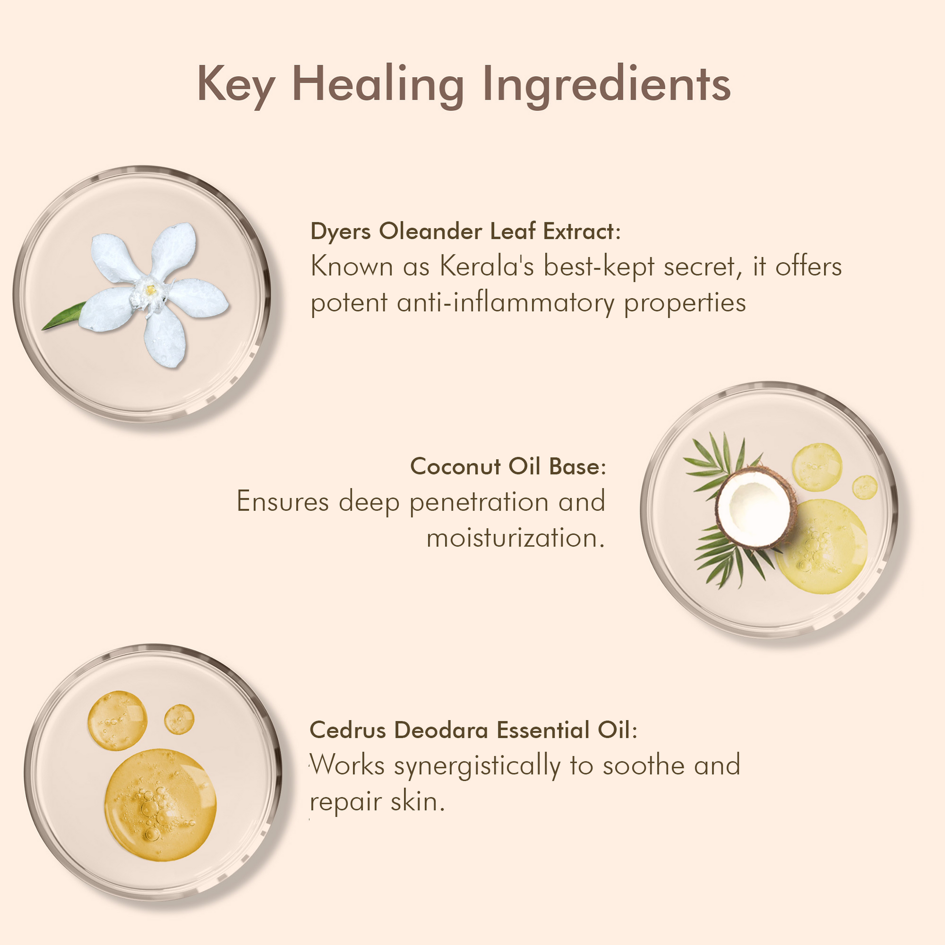 VedicDerm Oleander's Oil for Psoriasis, Eczema, and Atopic Dermatitis  Grab2Buy VedicDerm Grab2Buy