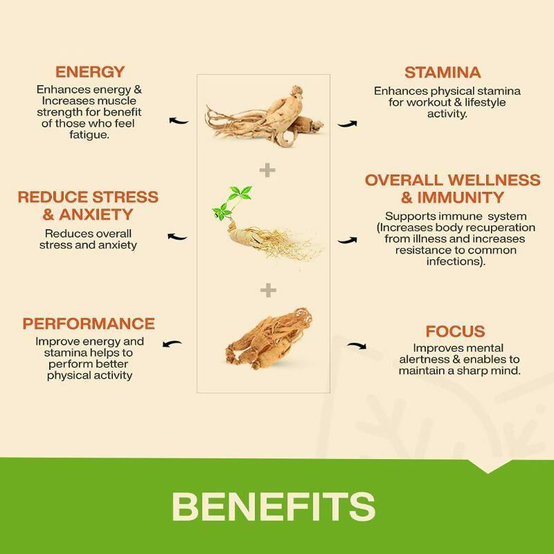 192576eMYFIT00000015_3bc