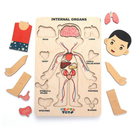 Nesta Toys Human Body | Internal Organs Wooden Puzzle - Grab2buy