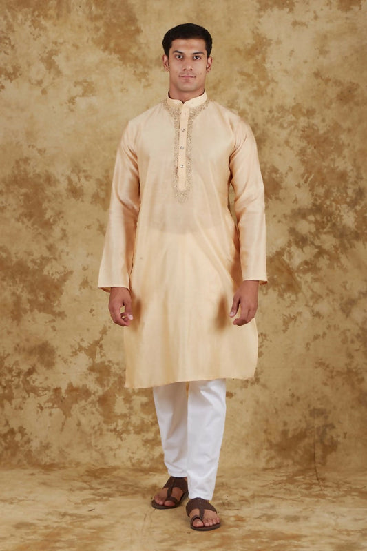 Bluesaanchi Men's Chandery Silk Light Khaki Embroidered Kurta Set | Swadesiicart