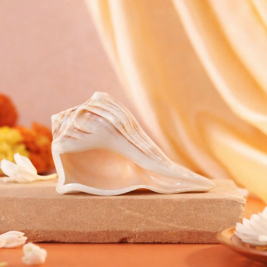 Pujashree Dakshinavarti Shankh – Sacred Hindu Conch For Puja