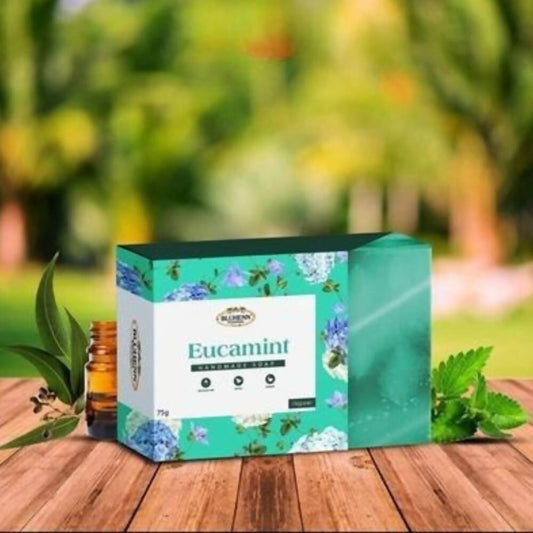 Rhuto India Euca-Mint Loafah Soap - Grab2buy