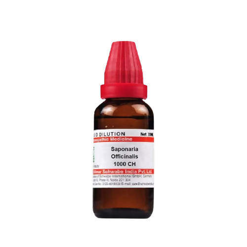 Dr. Willmar Schwabe India Saponaria Officinalis Dilution 