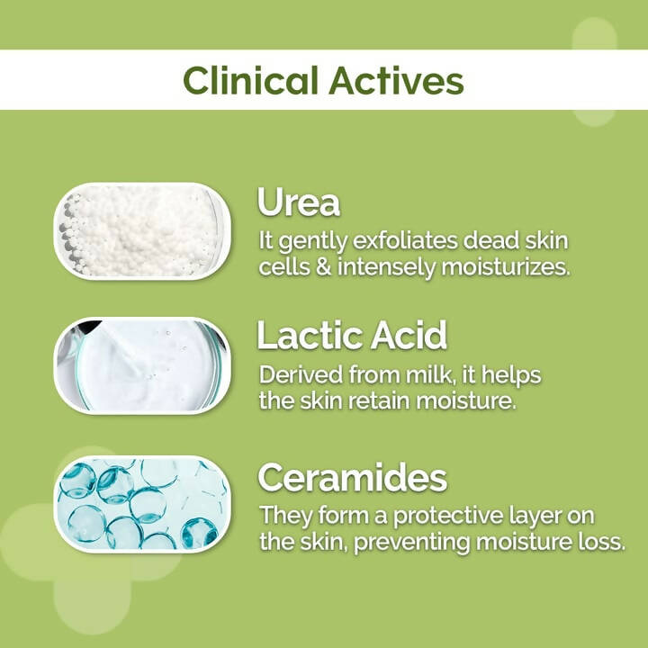 The Derma Co 4% Urea Deep Moisturizing Cream  Grab2Buy The Derma Co Grab2Buy