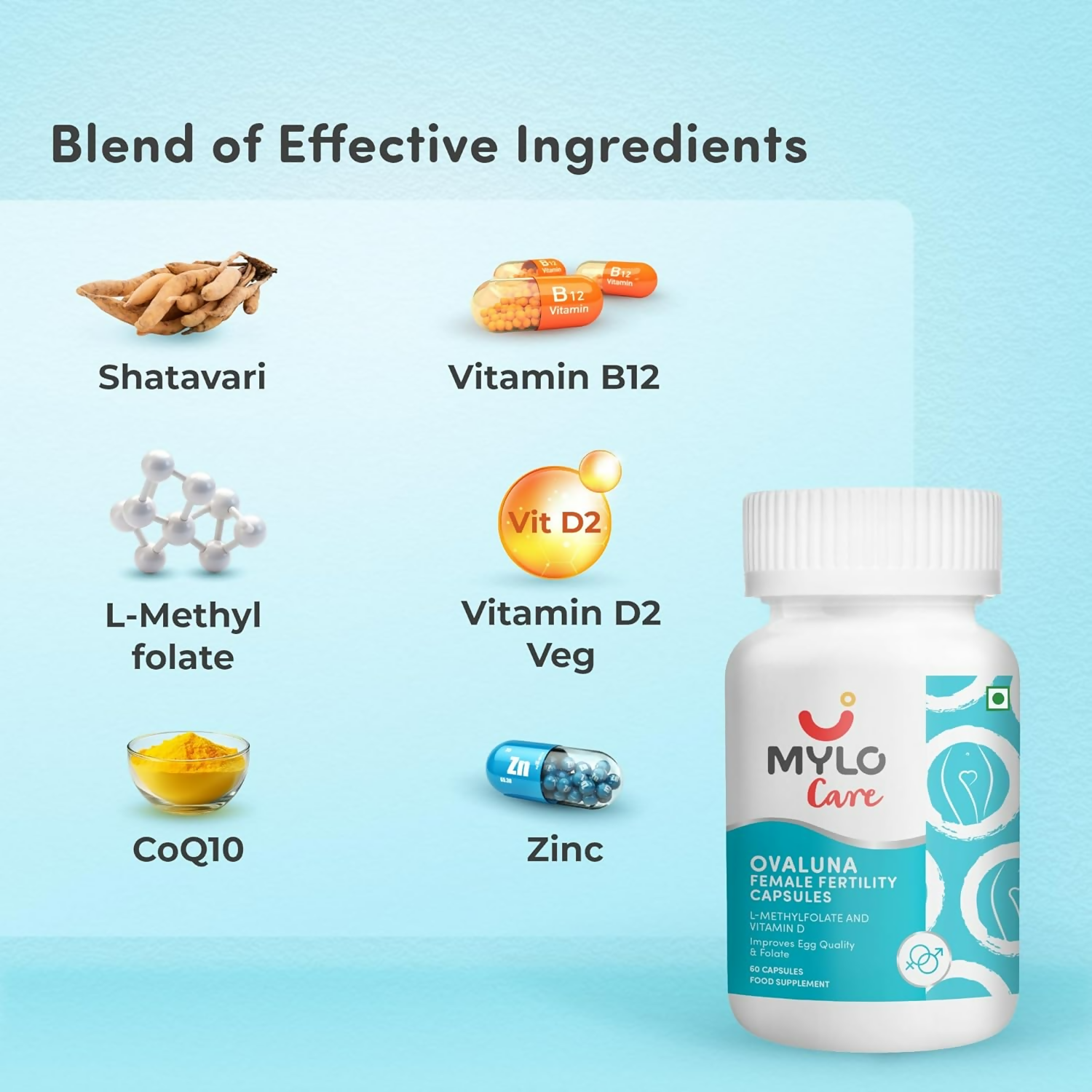 download - 2025-01-25T171912.028