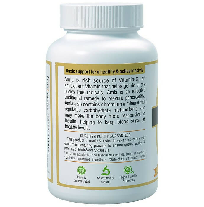 Sushrut Ayurved Good Health Amla Veg Capsules - Grab2buy