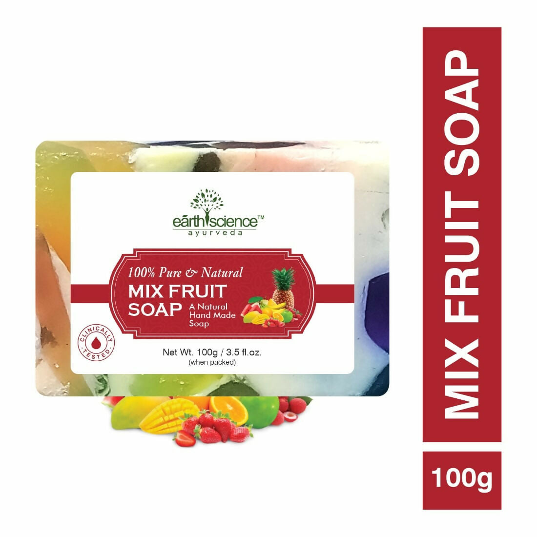 Earth Science Ayurveda Mix Fruit Bath Soap 