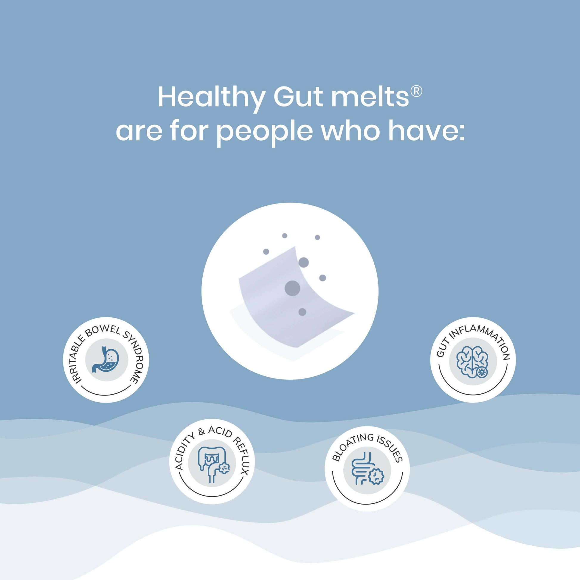 Wellbeing Nutrition Melts Healthy Gut Oral Strips  Grab2Buy Wellbeing Nutrition Grab2Buy