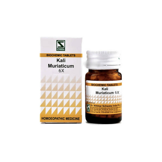 Dr. Willmar Schwabe India Kali Muriaticum Biochemic Tablet - Grab2buy
