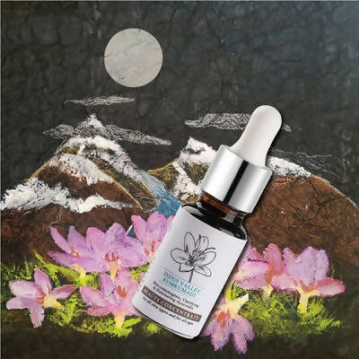 Timeless Beauty Secrets Indus Valley Organic Kumkumadi Beauty Oil  Grab2Buy Timeless Beauty Secrets Grab2Buy