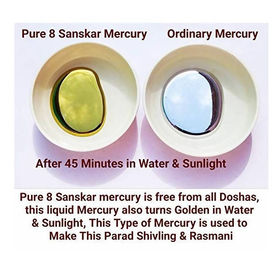 ‎G.S Rana Parad Shivling (50 Gram) Parad Shivling (29 mm)