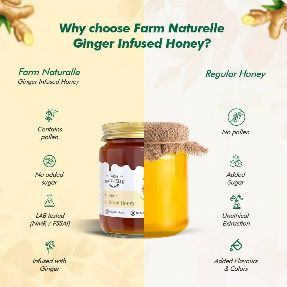 Farm Naturelle Ginger Infused Honey - Grab2buy