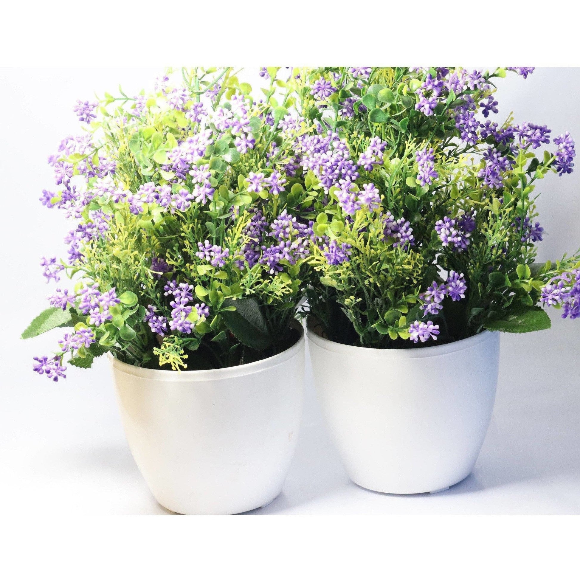 Chahat Decorative Artificial Flower Plant 2 Piece Combo