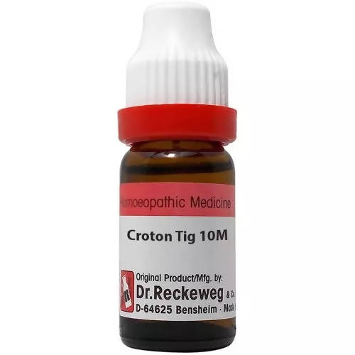 Dr. Reckeweg Croton Tig Dilution - Grab2buy