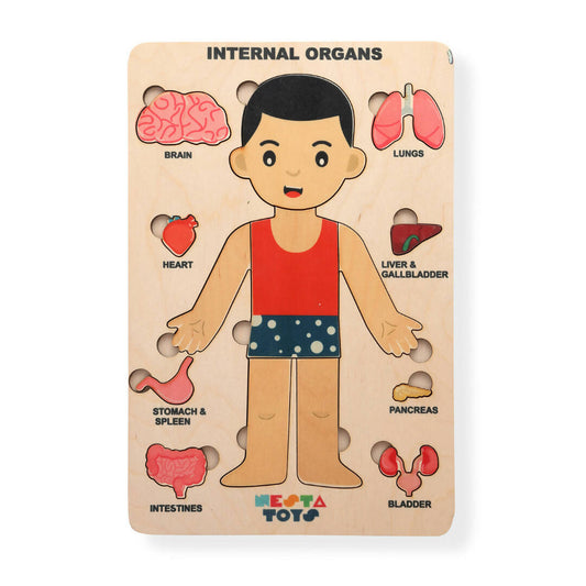 Nesta Toys Human Body | Internal Organs Wooden Puzzle - Grab2buy