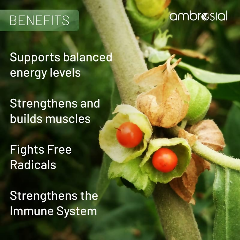 download - 2025-03-19T152747.143