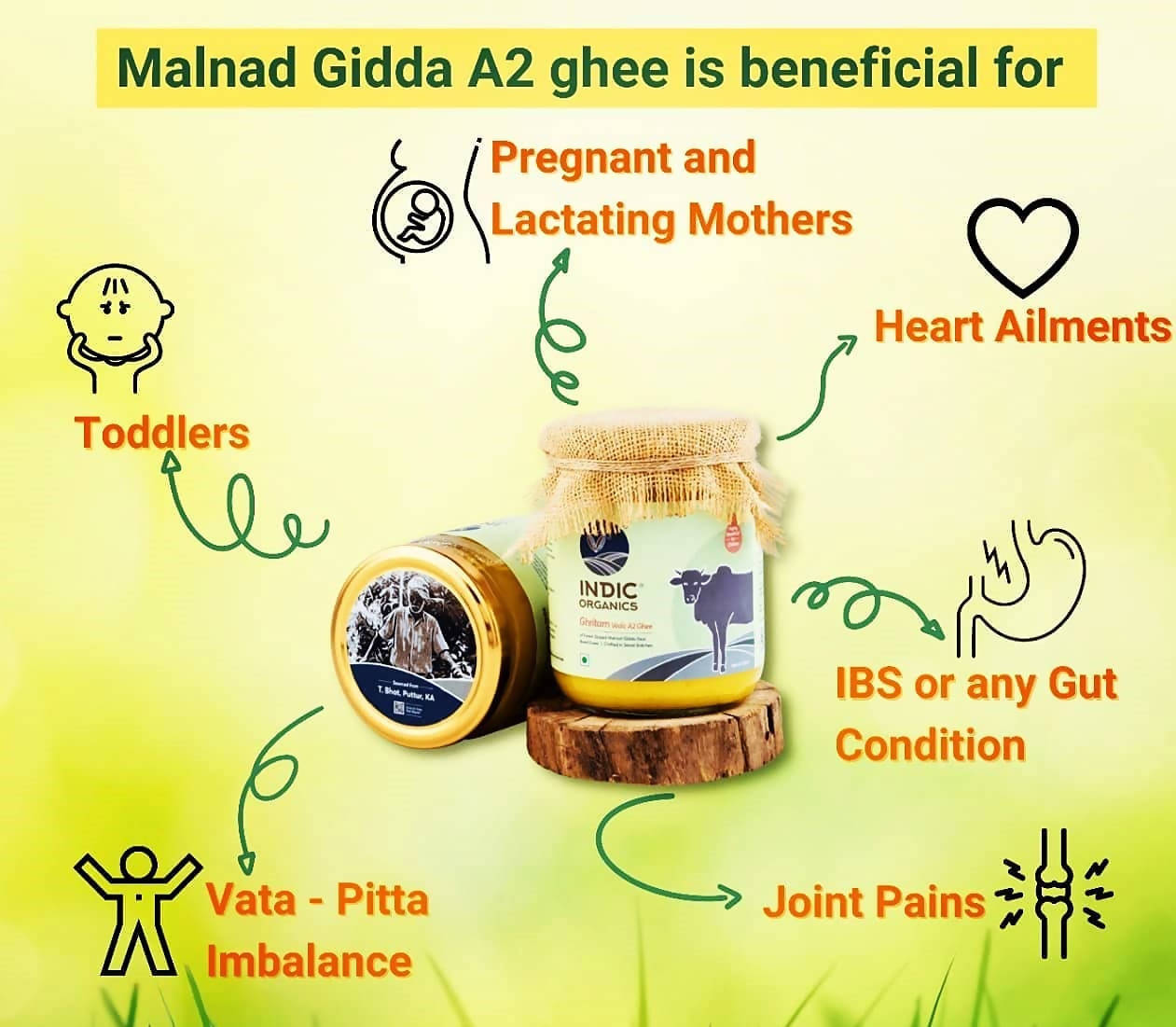 Indic Organics Forest Grazing Malnad Gidda Desi Cow's A2 Ghee | Pure Desi Cow Ghee | Cultured Premium Ghee 