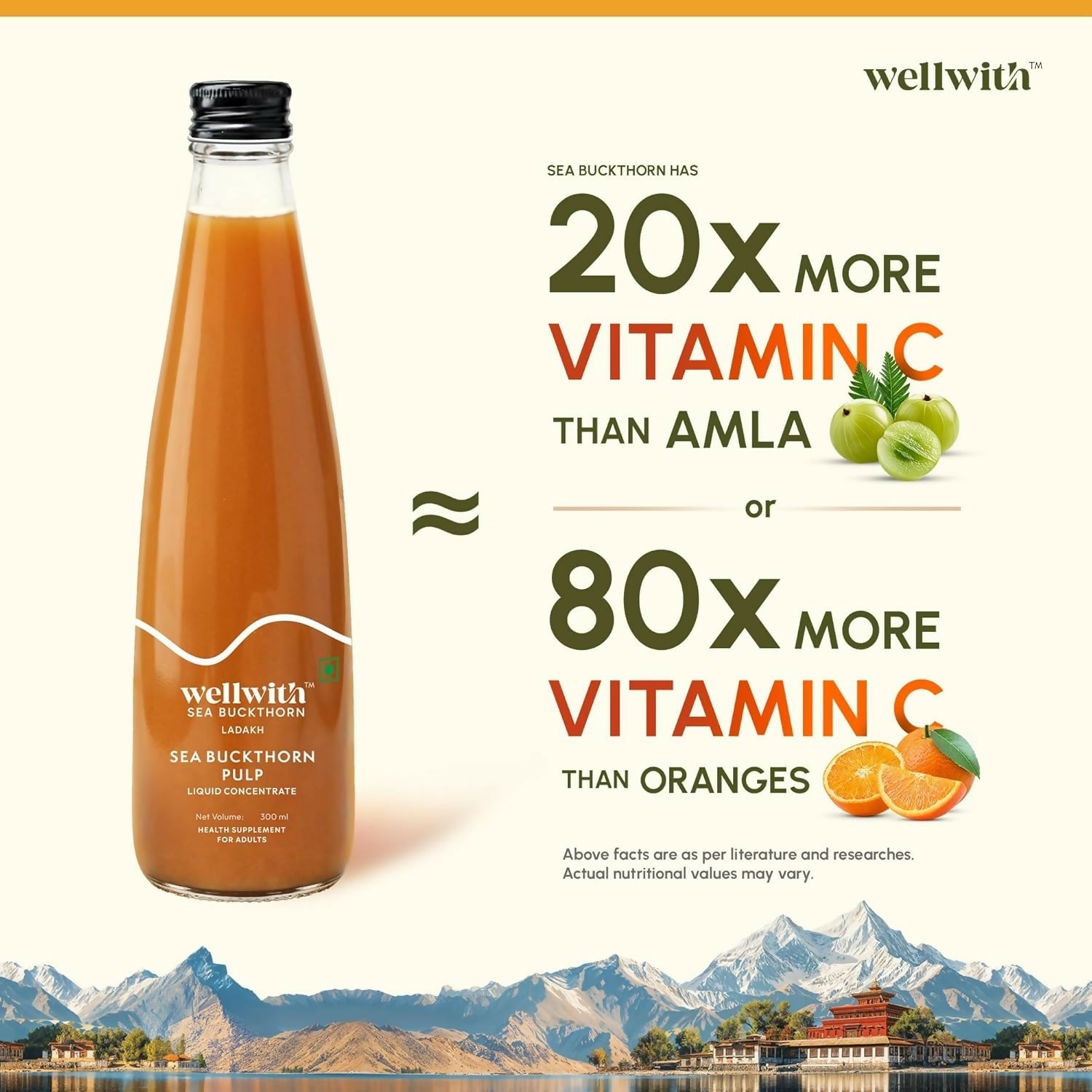 Wellwith Himalayan Sea Buckthorn Pulp  Grab2Buy Wellwith Grab2Buy