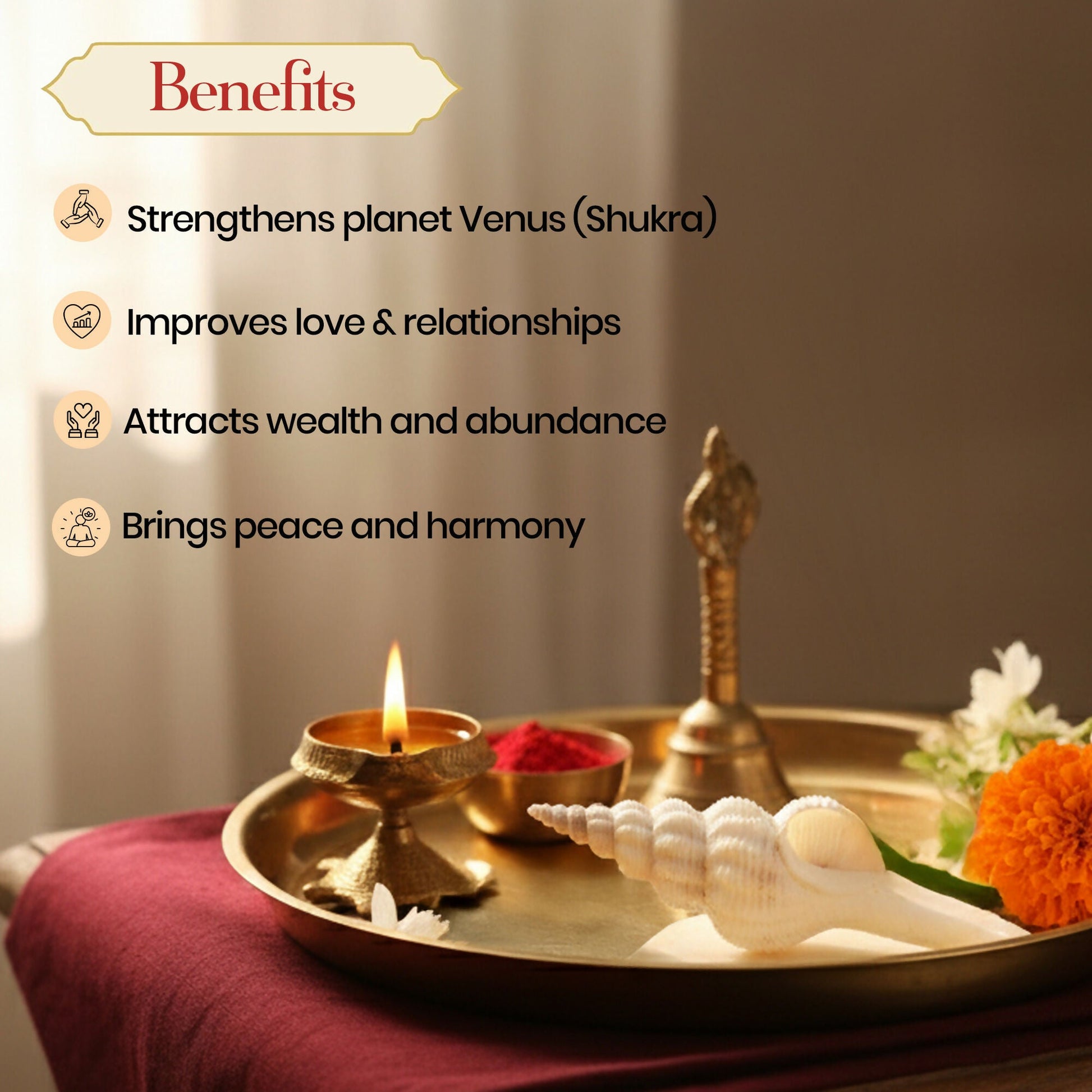 Pujashree Shukra Shankh – Venus Graha Conch For Prosperity & Harmony